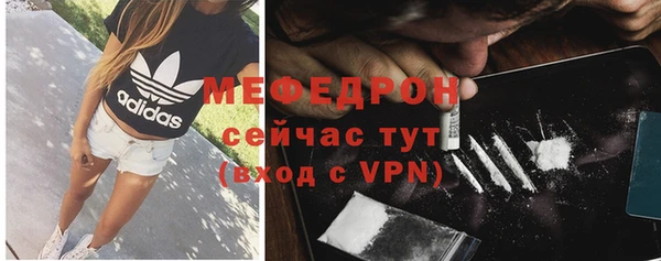 мдпв Елабуга