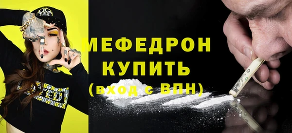 индика Елизово