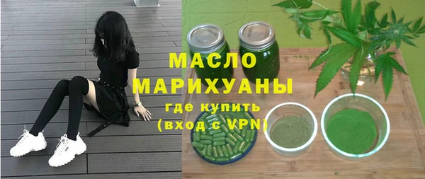 индика Елизово