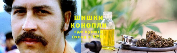 герыч Ельня