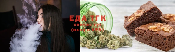 мдпв Елабуга