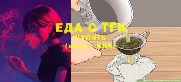 индика Елизово