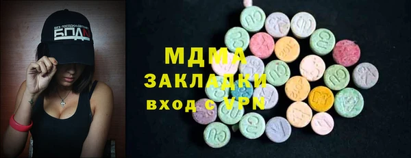 индика Елизово