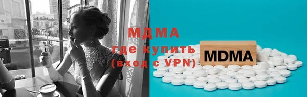 индика Елизово