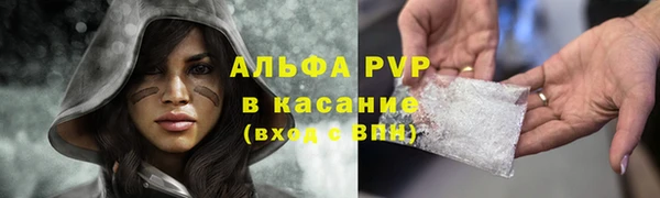 мдпв Елабуга