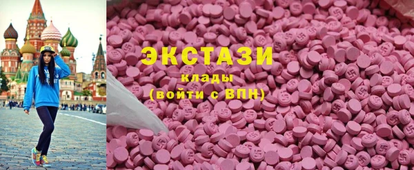 индика Елизово