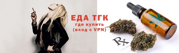 индика Елизово