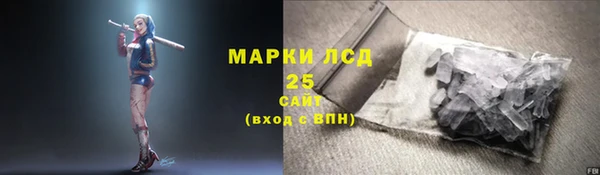 индика Елизово