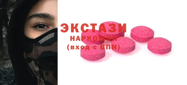 индика Елизово