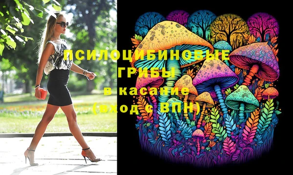 индика Елизово