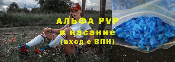 индика Елизово