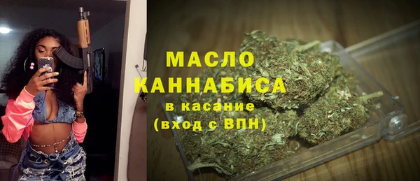 индика Елизово