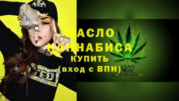 мдпв Елабуга