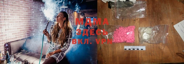 мдпв Елабуга