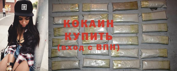индика Елизово