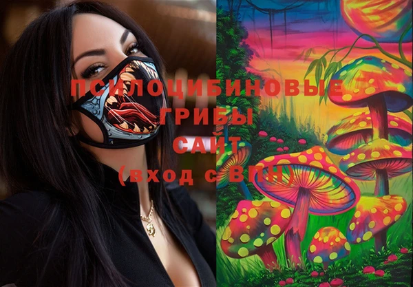 индика Елизово