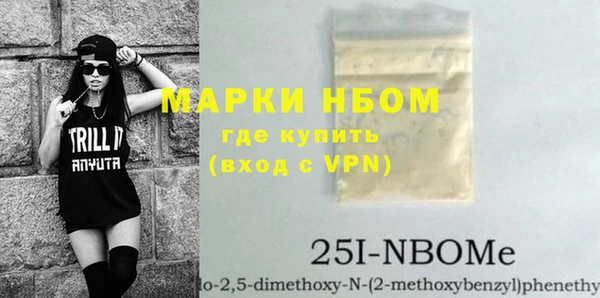 мдпв Елабуга