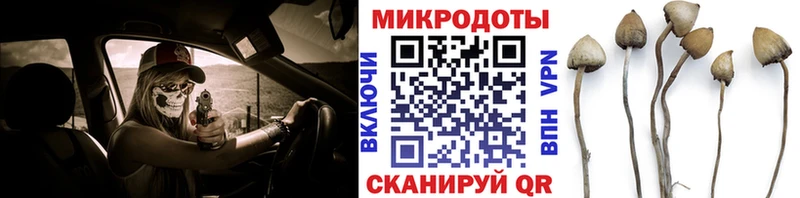 Псилоцибиновые грибы Psilocybine cubensis  Заполярный 